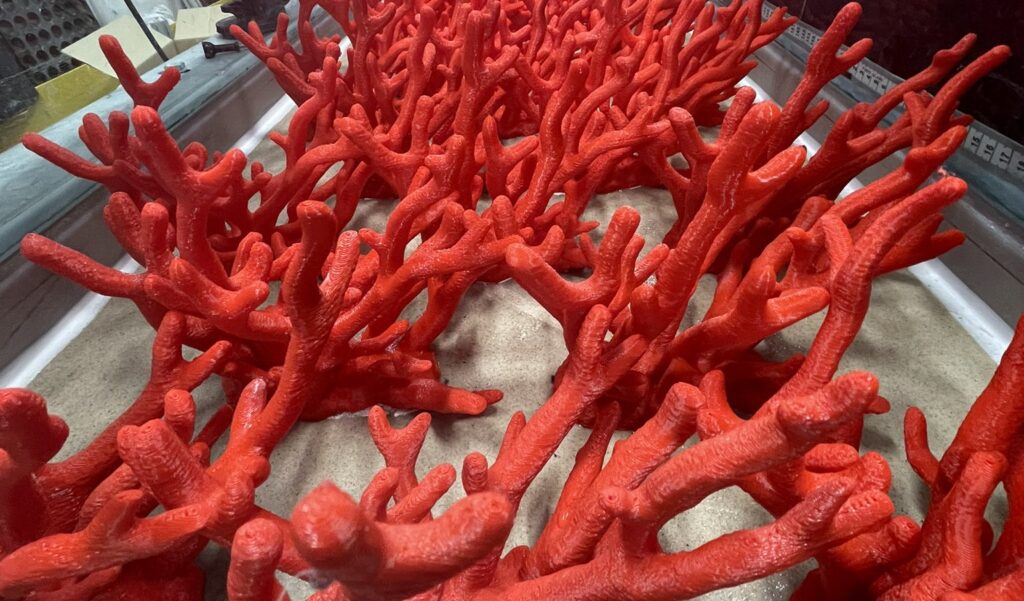3D printed coral for research - Aura Innovation Centre